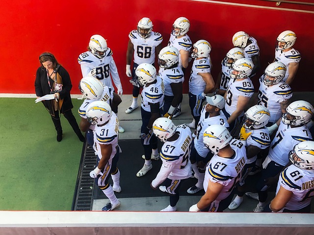 还为投资者 还为投资者