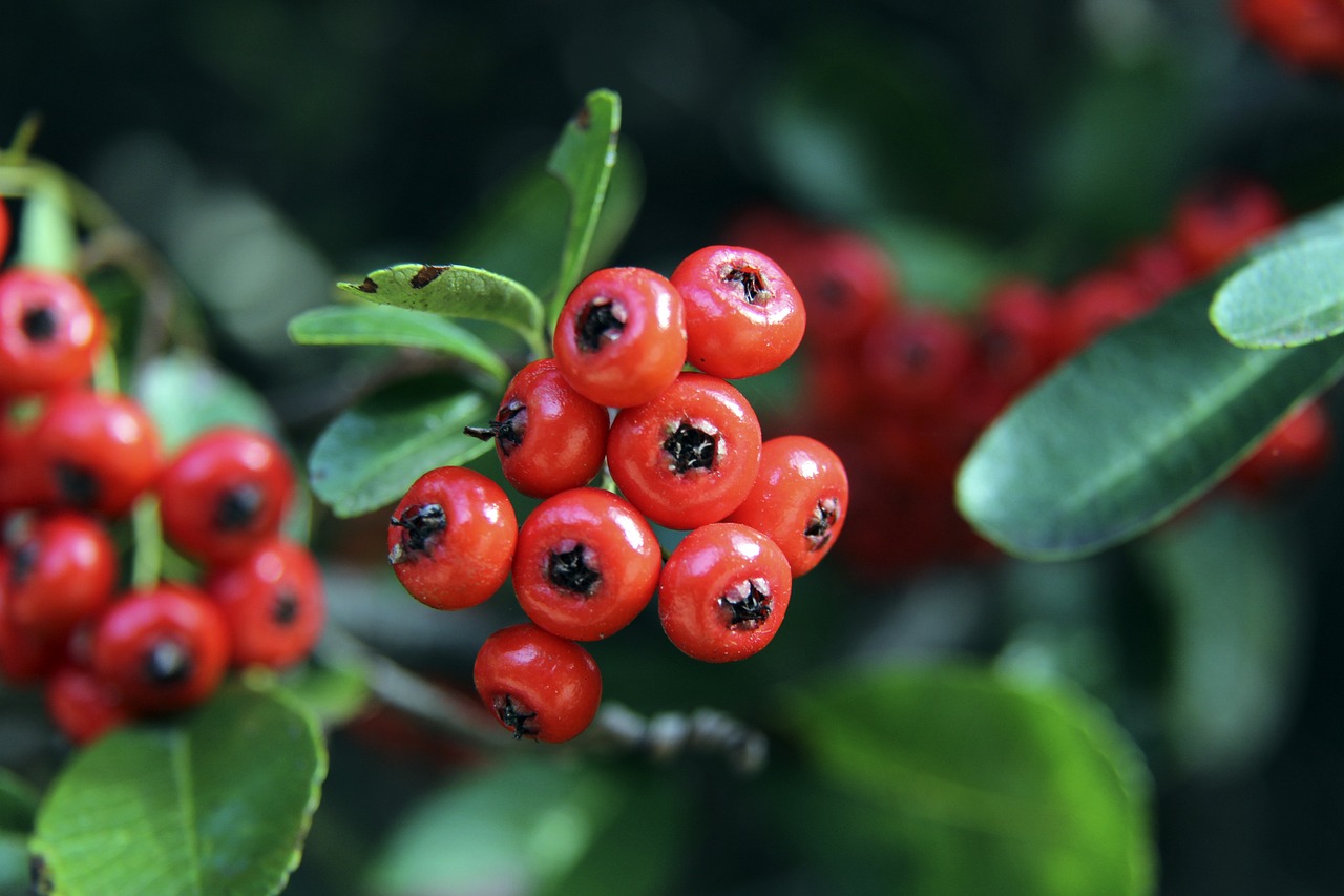 人看到一位 人看到一位