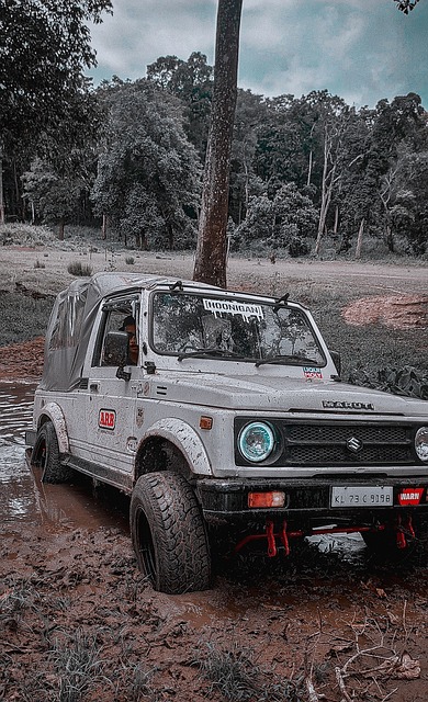 还伤害了体 还伤害了体