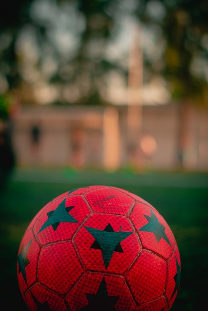 他们组成了 他们组成了