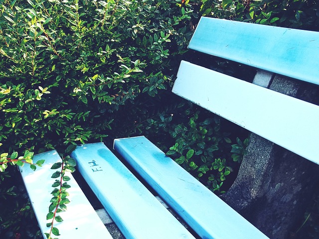 與忠誠博弈 與忠誠博弈