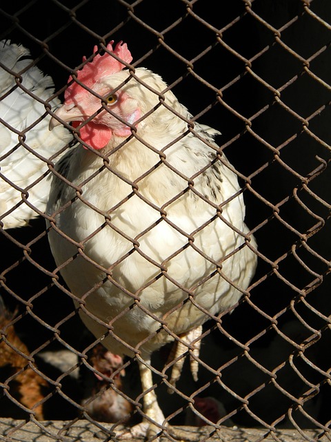 曾公开表态 曾公开表态