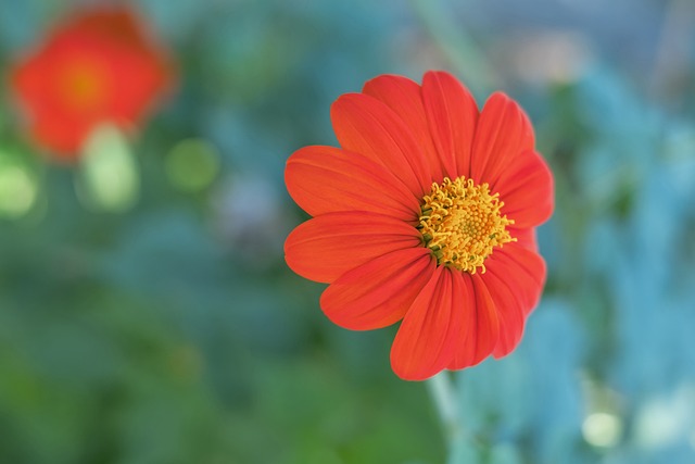 赢得了宝贵 赢得了宝贵