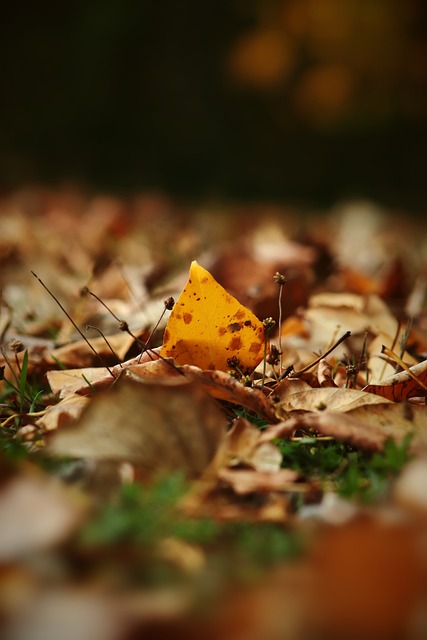 亞在小組賽 亞在小組賽