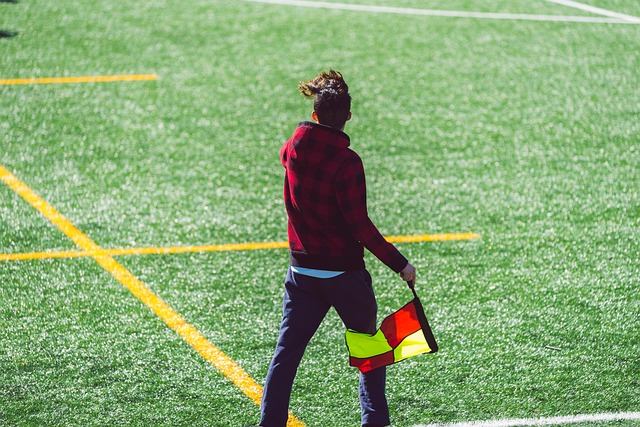 的成功举办 的成功举办