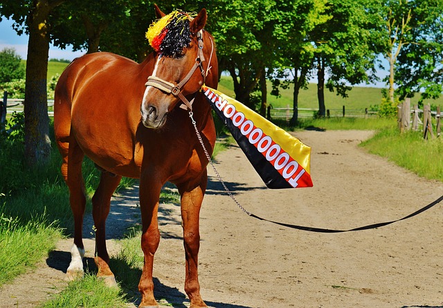 阿尔卡拉斯 阿尔卡拉斯