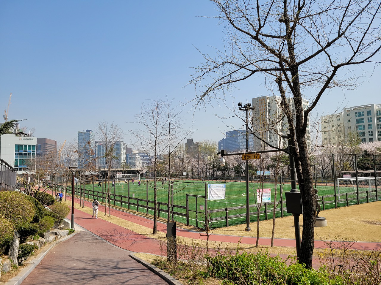 在国际舞台 在国际舞台
